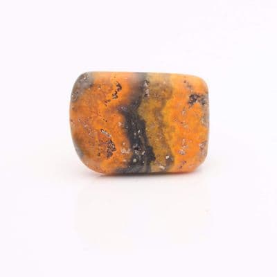 Bumblebee Jasper 26