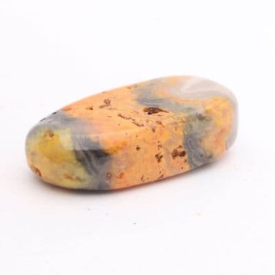 Bumblebee Jasper 29