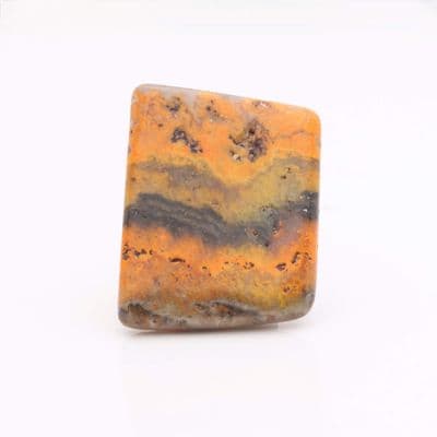 Bumblebee Jasper 3