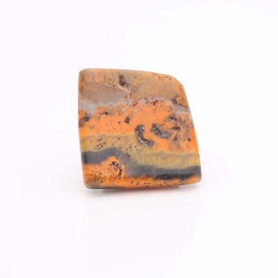 Bumblebee Jasper 33