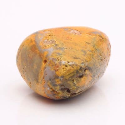 Bumblebee Jasper 35
