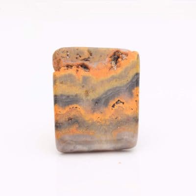 Bumblebee Jasper 5