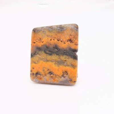 Bumblebee Jasper 6