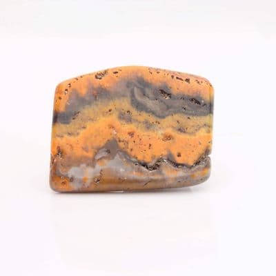 Bumblebee Jasper 9