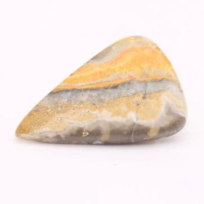Bumblebee Jasper Cabochon 2