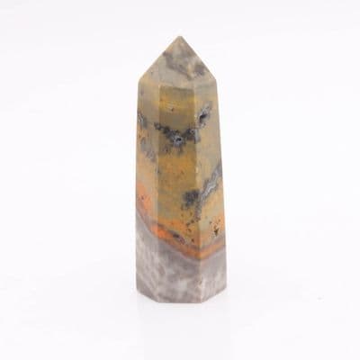 Bumblebee Jasper Point 2