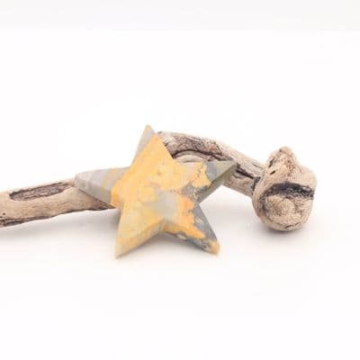 Bumblebee Jasper Star 1