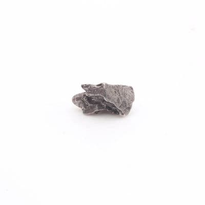 Campo Del Cielo  Meteorite 16