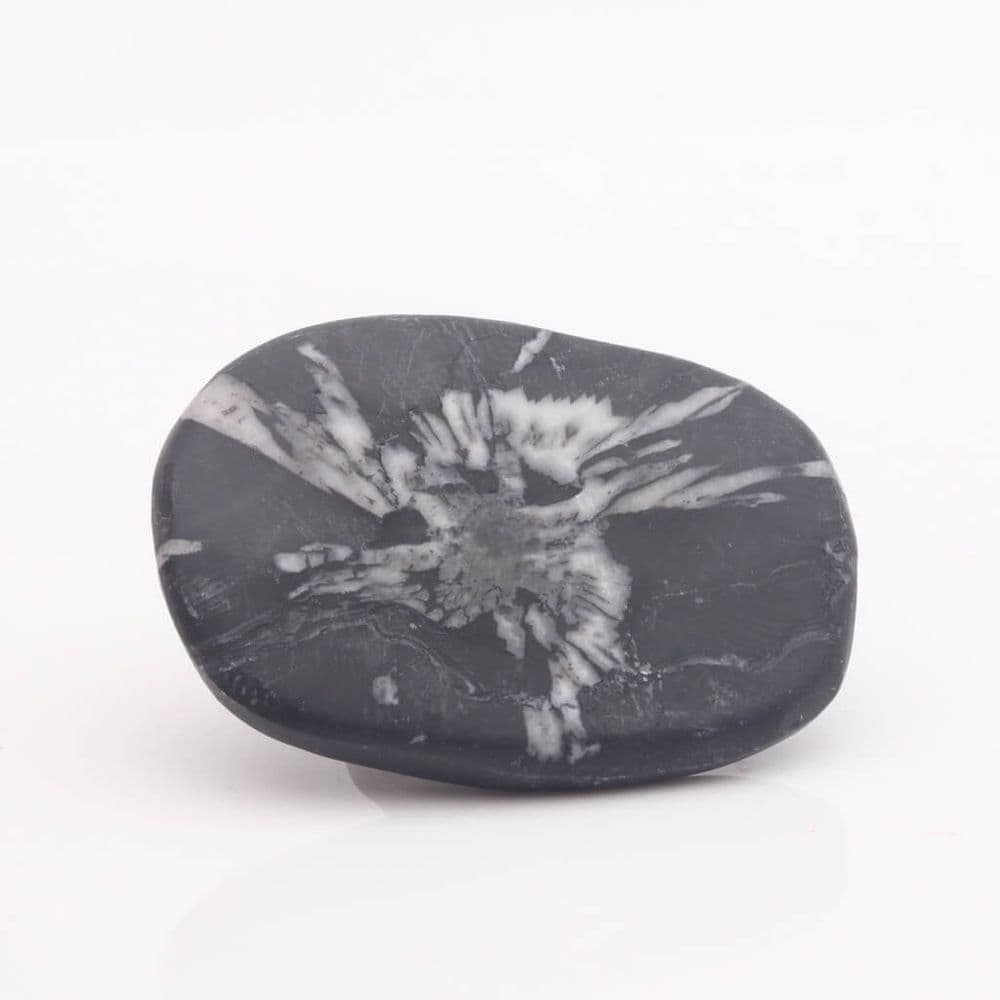 Chrysanthemum stone