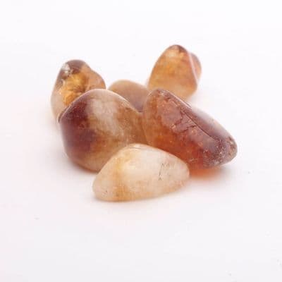 Citrine (Set of 6) 4