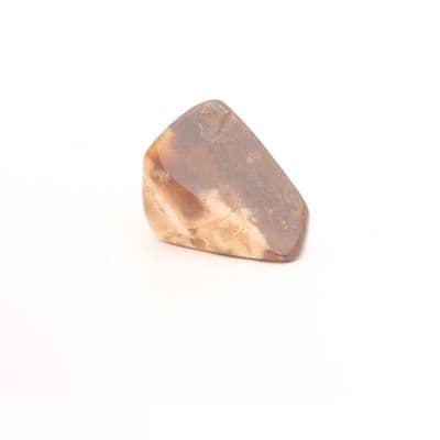 Coromandel Stonewood 5