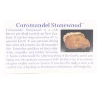 Coromandel Stonewood™ | Crystals For Healing