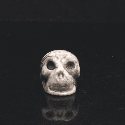 Crazy Lace Agate  Skull  100