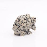 Dalmatian Jasper Fish 2