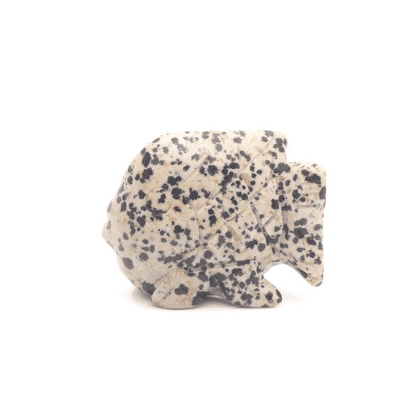 Dalmatian Jasper Fish 2