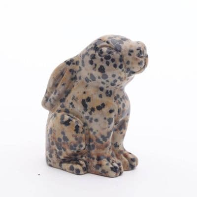 Dalmatian Jasper Moon Gazing Hare 4