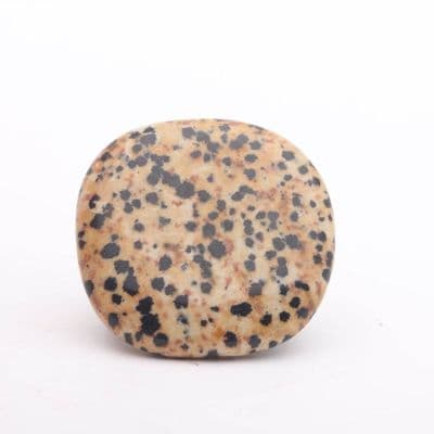 Dalmatian Jasper Palmstone 10