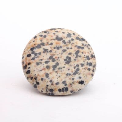 Dalmatian Jasper Palmstone 12