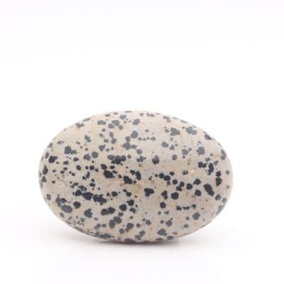 Dalmatian Jasper Palmstone 14