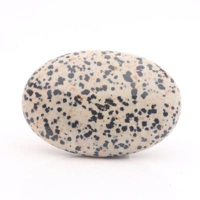 Dalmatian Jasper Palmstone 18