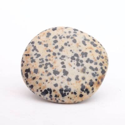 Dalmatian Jasper Palmstone 2