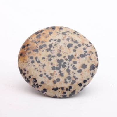 Dalmatian Jasper Palmstone 3