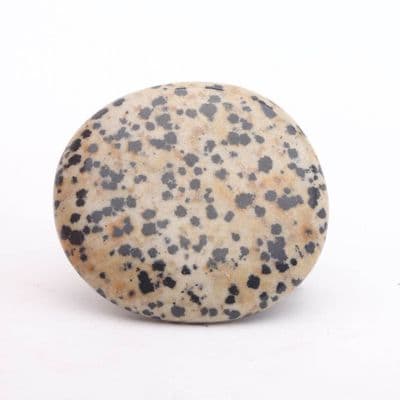 Dalmatian Jasper Palmstone 4