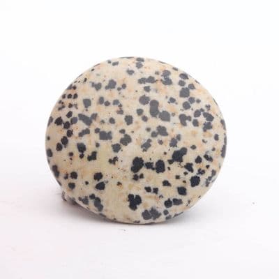 Dalmatian Jasper Palmstone 5