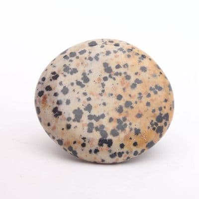 Dalmatian Jasper Palmstone 7