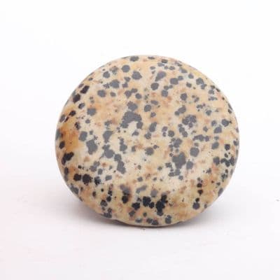 Dalmatian Jasper Palmstone 9