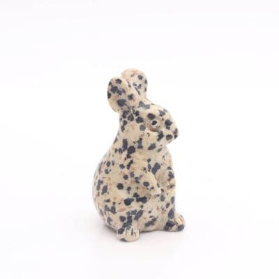 Dalmatian Jasper Rabbit 1