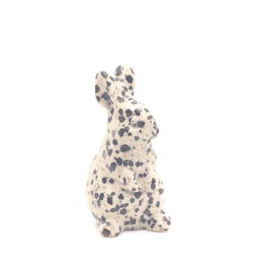 Dalmatian Jasper Rabbit 2