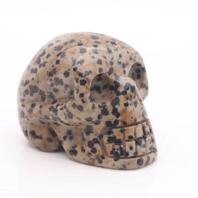 Dalmatian Jasper Skull 1