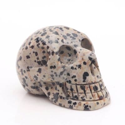 Dalmatian Jasper Skull 2