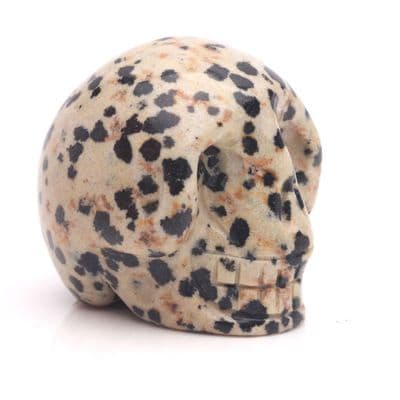 Dalmatian Jasper Skull 3