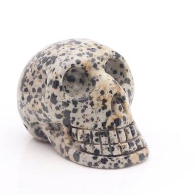 Dalmatian Jasper Skull 7