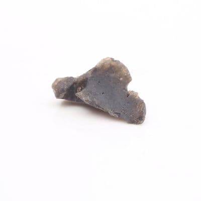 Darwinite Tektite 12