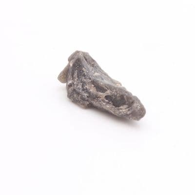 Darwinite Tektite 7