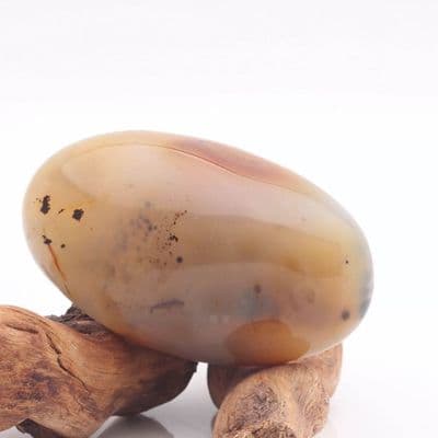 Dendritic Agate 16