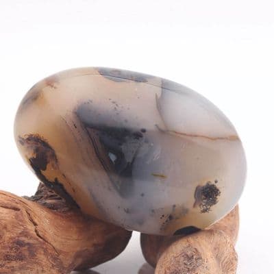 Dendritic Agate 17