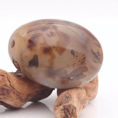 Dendritic Agate 20