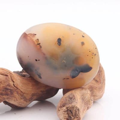 Dendritic Agate 3