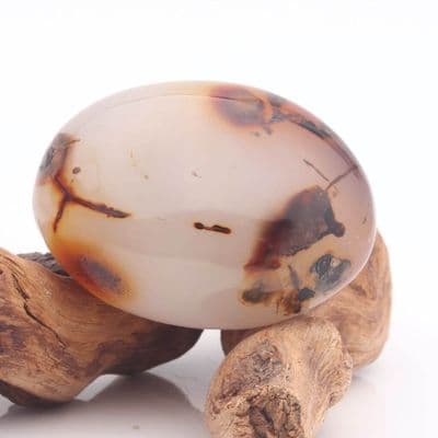 Dendritic Agate 5