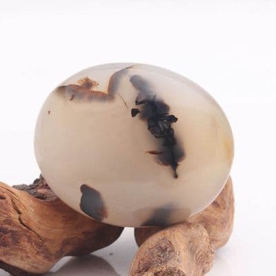 Dendritic Agate 7