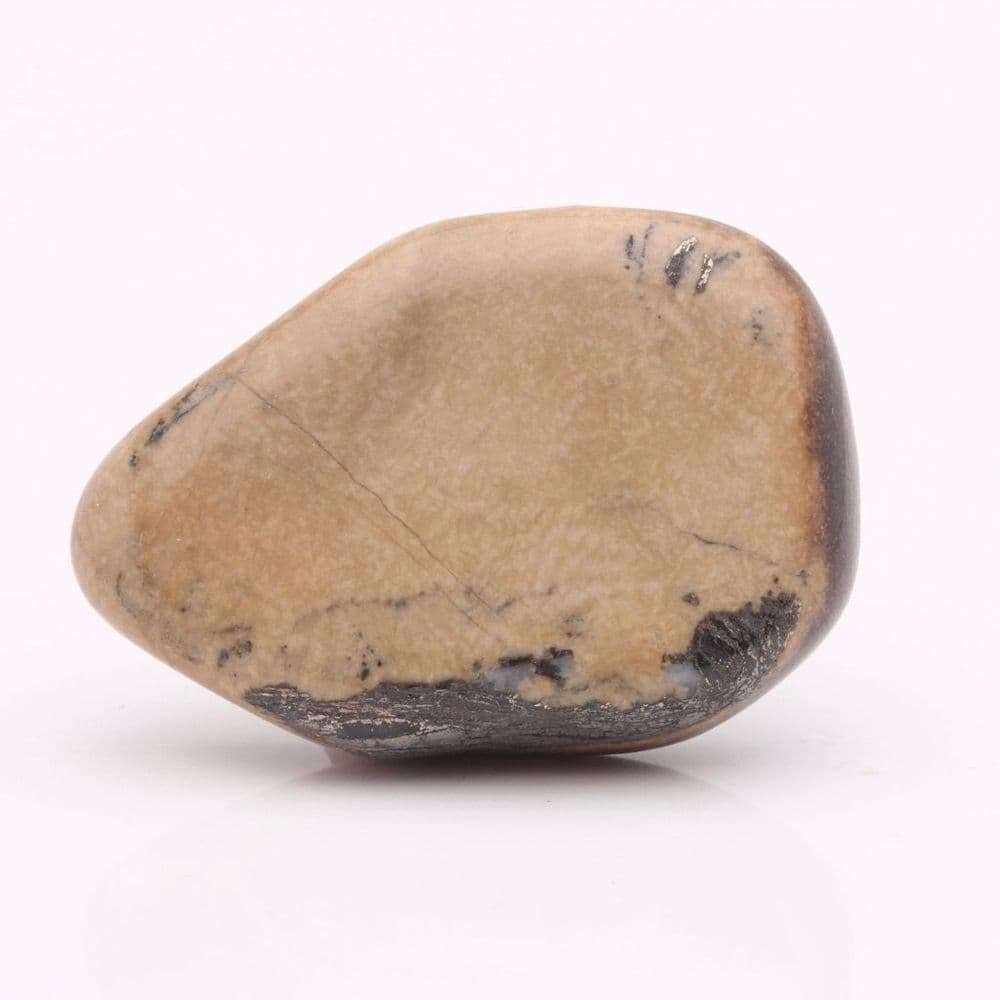 Bone Feather on Pyrite main image 1