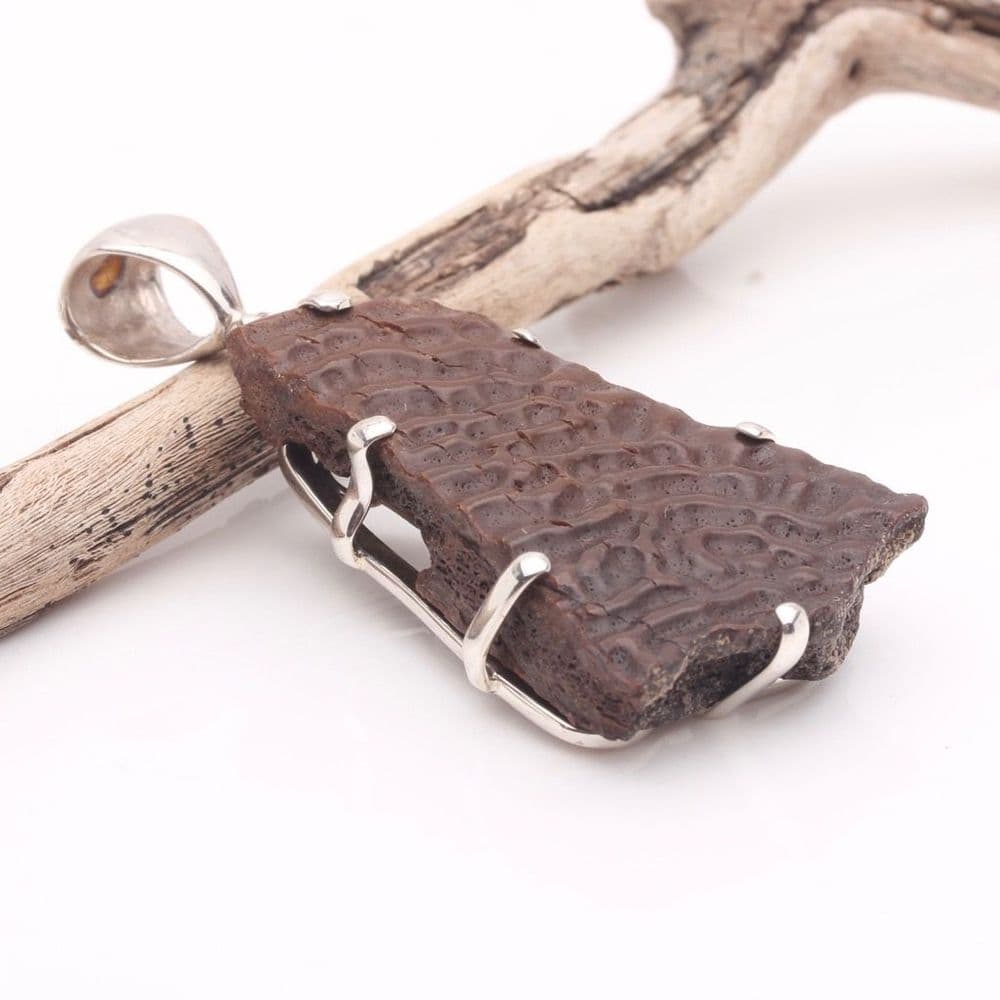 Fossil Turtle Shell Pendant