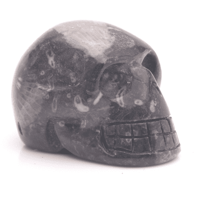 Frosterley Marble Skull 5