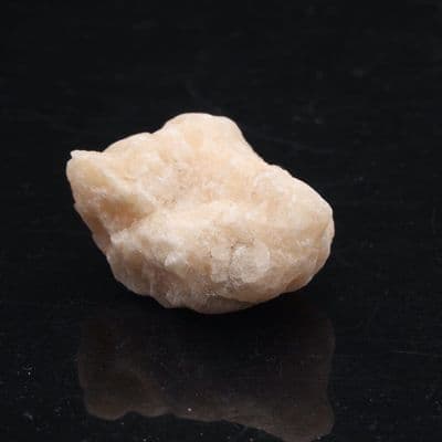 Golden Coracalcite 11