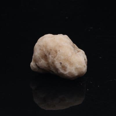 Golden Coracalcite 12