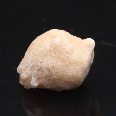 Golden Coracalcite 4